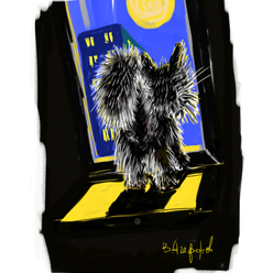 КОТ И ЛУНА